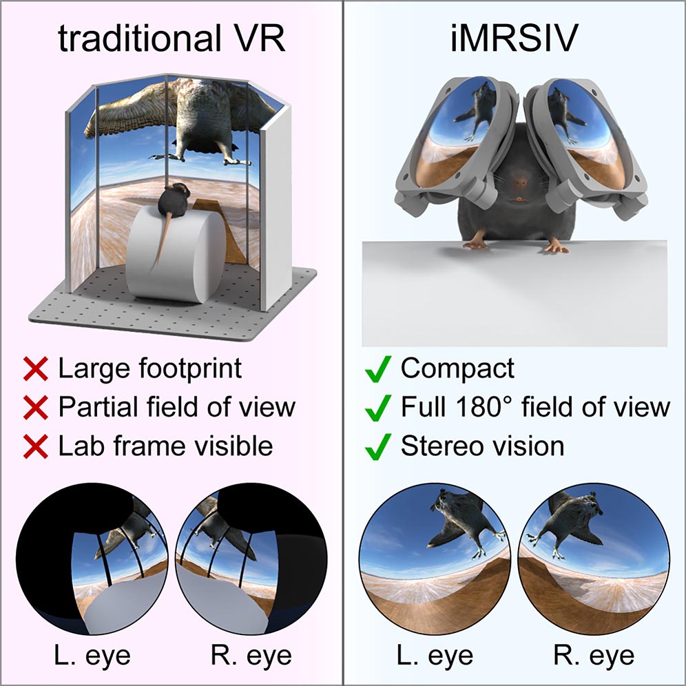 Using iMRSIVE to place mice in virtual reality